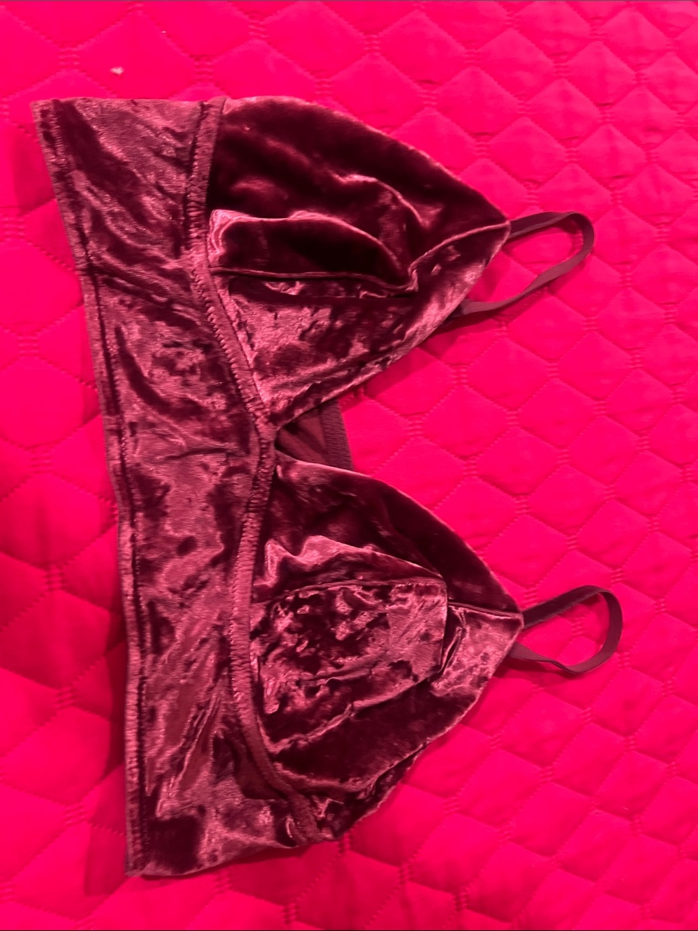 Xhilaration Velvet Bralette in Deep Burgundy